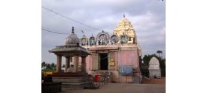 தென்பொன்பரப்பி